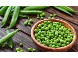 ���㶹��ʲôӪ����ֵ