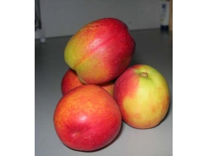 ���򲡳�ʲôˮ����?����5�С�ˮ�����β���