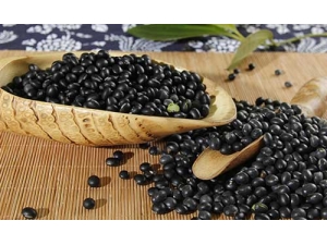 �����ʺϳ�ʲô��ɫʳ��