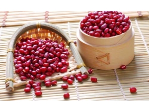 �����Ҹ��е�ʳ������Щ