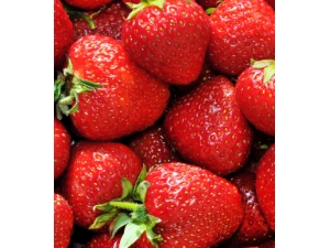 Ҷ�������?׼�����֪��Ҷ��ʳ��