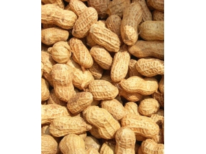 ��Ѫ������?��Ѫ����������ձ����