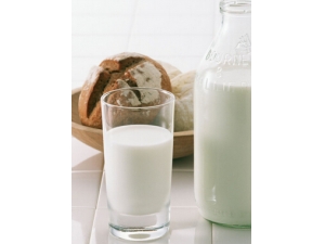 �������ټ���?�������ټ���ʳ���Ƽ�