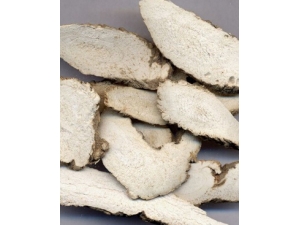 �౦�������?���ƶ౦����������Ѫ