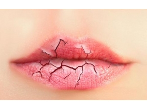 �����֪���ļ�������������С����