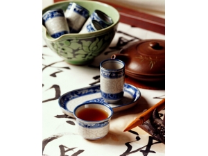 ���򲡳�ʲô?���ɽ���Ѫ��