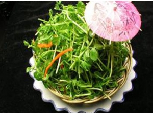 ���ʶ�������� ���ʶ�������ô����