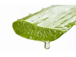 Ƥ��ɹ�˺���ô�죿������Щ����������