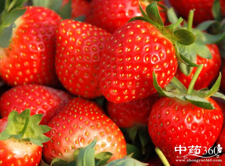 1503805986314684.jpg 1503805986314684.jpg