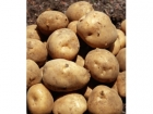 吃什么抗衰老?吃土豆美容抗衰的功效与禁忌