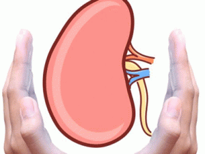 ���������Ļ���ԭ�� ������������ʳ����