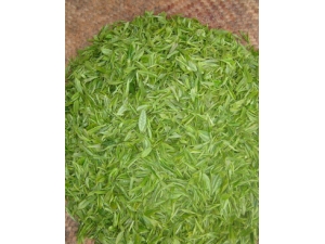 �̲�Ĺ�Ч?�����̲���ʷ�������������