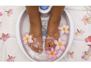 ���������ʪ ��Щ����������ʪ