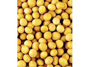 ��������ʳ?�ƶ��ɻ���Ů�˸�����֢״