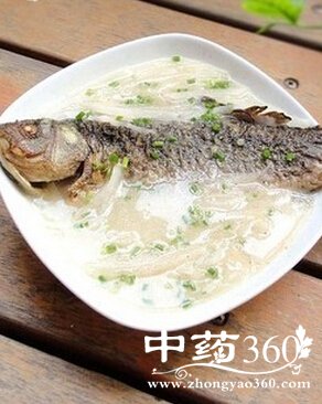鲫鱼汤的功效,健脑益智补肝养目