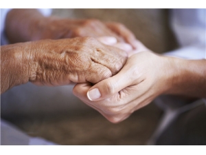 ���˳���ſɱ����� ���˳���ŵĺô�