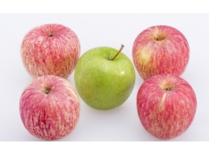 ��֪��ˮ��ҲҪ��ʱ����� ʲôʱ���ˮ������