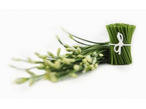 �������ε�4����ʳ ����Ӧ�ö�Զ�ѿ