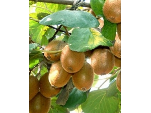 ⨺��ҵ�Ӫ����ֵ?⨺�����������ˮ���أ�