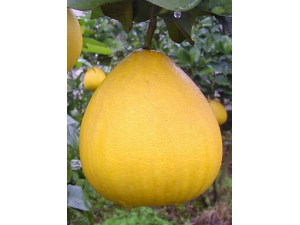 ��������ʲô�ô�?�＾�����ӵĺô��뽲��