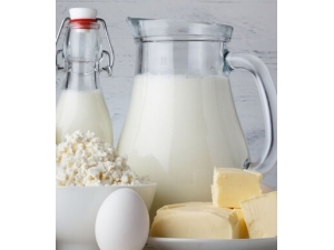 ������ʳ��?�������ܺ�ţ����