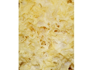 ���λ��β�?�������������η���ð