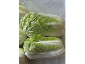 ��ײ���ô���ó�?������⿴�ײ˵ķ���