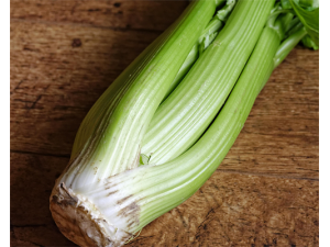 ���۵�Ӫ����ֵ ����Ӧ����ô��