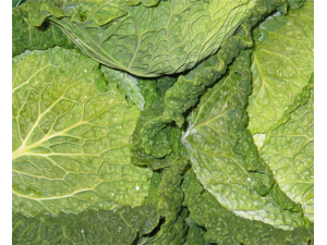 ��ײ˵�Ӫ����ֵ ��ײ˵�ҩ�ü�ֵ