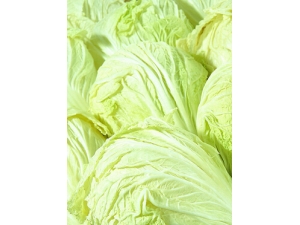 ��ײ˵�Ӫ����ֵ?�μǶ����԰ײ˵�8������