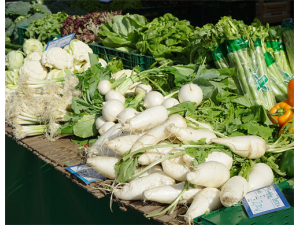 白萝卜的营养价值 白萝卜有助于身体健康