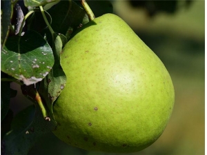 ���ӵ�Ӫ����ֵ С�ĳԶ��ж�