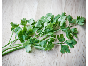 ˮ�۵�Ӫ����ֵ ˮ��Ӧ����ô��ֲ