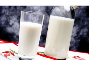 ţ�̻����ļ����㶼�˽��� ţ��������Ĥ��ô��