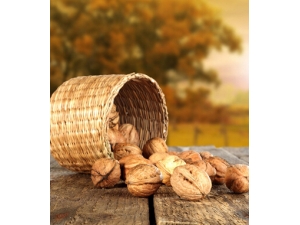 ��Ѫ��ʳ������Щ?����ʳ��Ѫ���շ�����