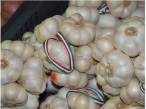 �����Ӫ����ֵ �ʵ��ĳԴ���