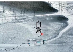 ��¶������ô���� ��������λ��Ҫ��ůŶ