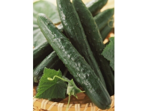 �ƹϵĹ�Ч������?�ļ��ɳԻƹ���Ч����