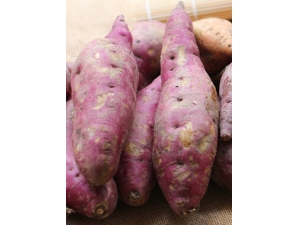 ������Ӫ����ֵ?�����Ժ�����ʲô���ɣ�