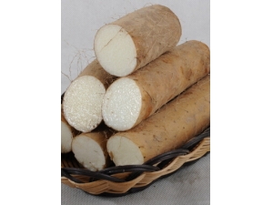 ɽҩ��ô��?�＾��ɽҩ�ò��ã�