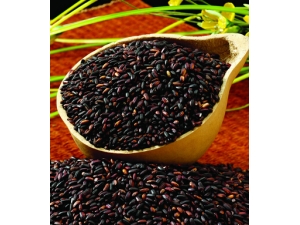 ������ʲô��?������ԡ������ࡱʳ��