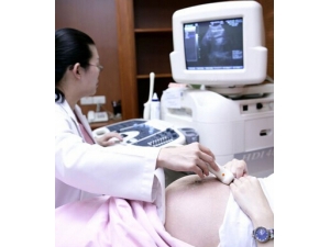 B���ܼ���ʲô?B������̥������Ӱ��