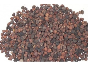 ��Щ��ҩ�ᵼ�¸�к һ����������