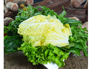 ݫ��Ҷ��Ӫ����ֵ ݫ��Ҷ��ô��