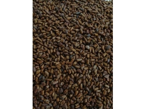 �����Ӽ���?�ļ����ƾ����Ӽ��ʲ�