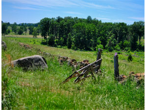 �����Ӫ����ֵ �����ʳ�÷�