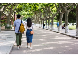 ������Щ��Ч ������Щ����