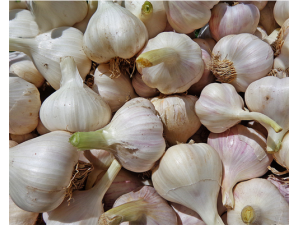 ��̦�ļ������� ��̦��Ӫ����ֵ