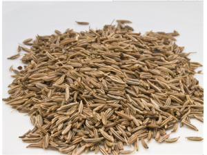 �����Ӫ����ֵ �����ҩ�ü�ֵ