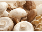 口菇的营养价值 口菇的各种做法